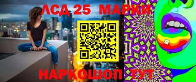 стаф Можга