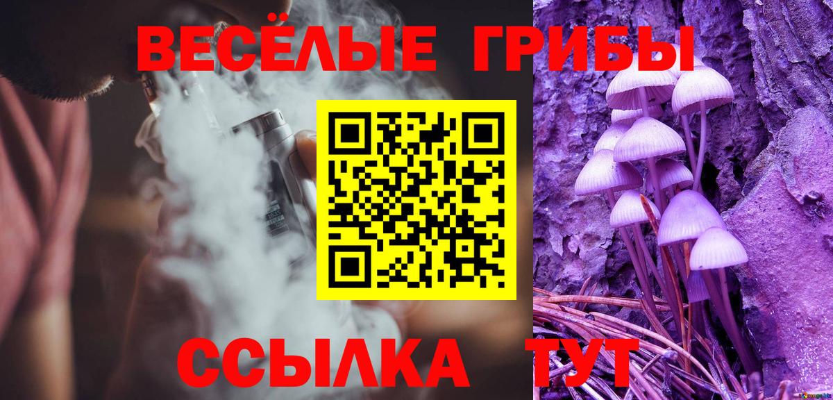 Галлюциногенные грибы ЛСД  Галлюциногенные грибы Magic Shrooms  наркошоп  Татарск  Вход с VPN 