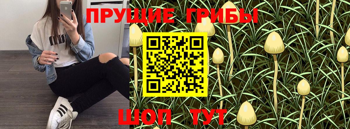 Галлюциногенные грибы Psilocybe Татарск